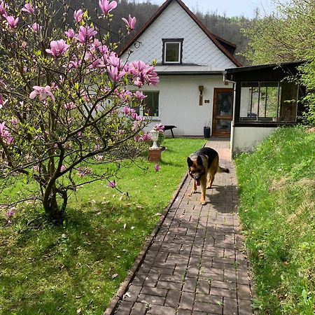 Ferienhaus Andrea Am Bodetal Treseburg Exterior foto