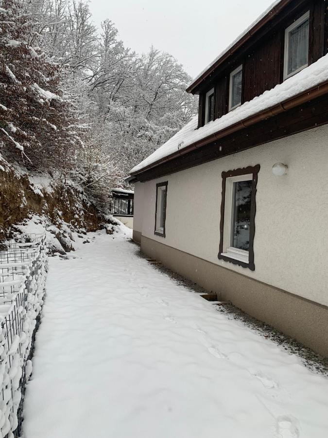 Ferienhaus Andrea Am Bodetal Treseburg Exterior foto