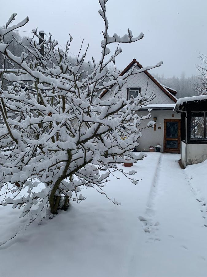 Ferienhaus Andrea Am Bodetal Treseburg Exterior foto